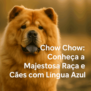 Chow Chow: Conheça a Majestosa Raça de Cães com Língua Azul