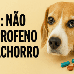 Alerta: Ibuprofeno e a Segurança do Seu Cachorro – Cuidados Essenciais para a Saúde Canina